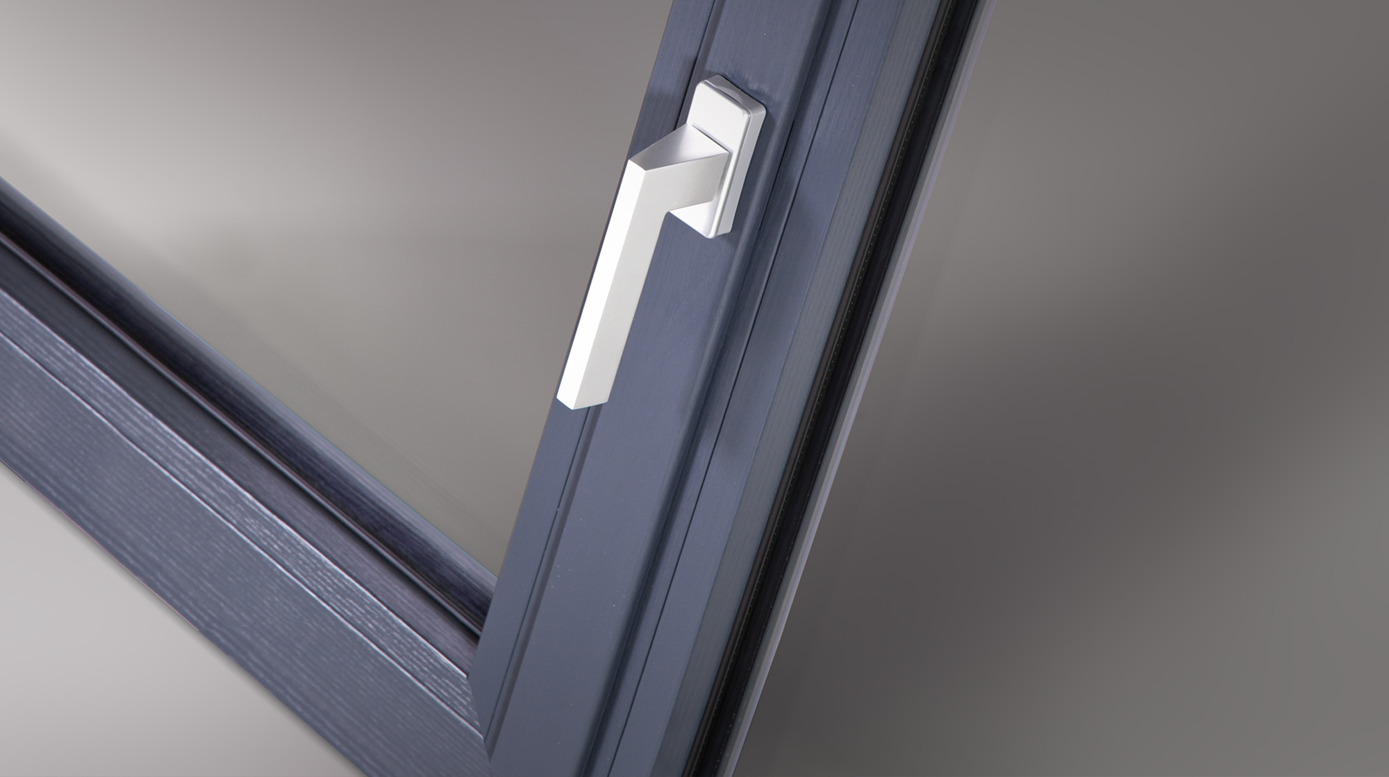 Prolux Evolution - immagine 2